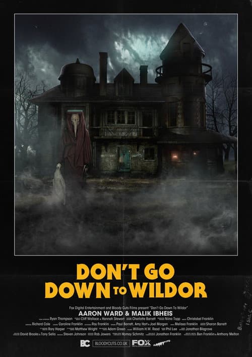 Постер: Don’t Go Down to Wildor