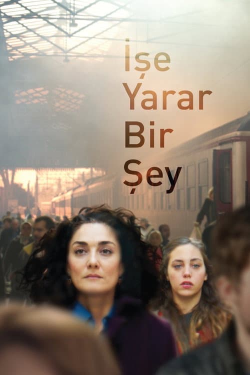 Постер: İşe Yarar Bir Şey