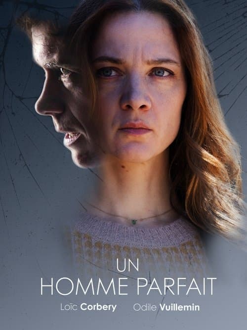 Постер: Un homme parfait