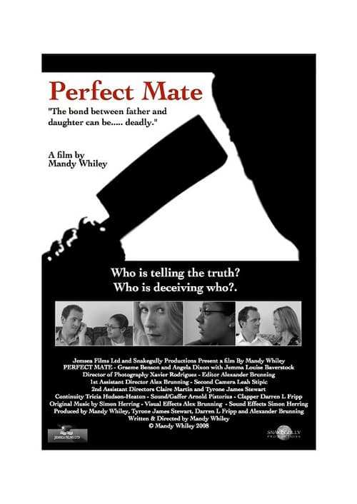Постер: Perfect Mate