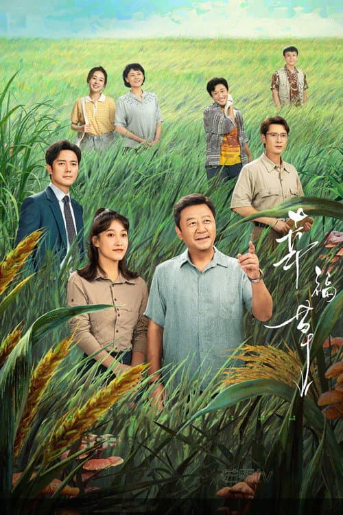 Постер: 幸福草