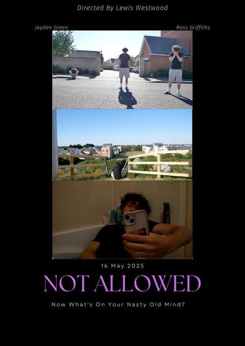 Постер: Not Allowed