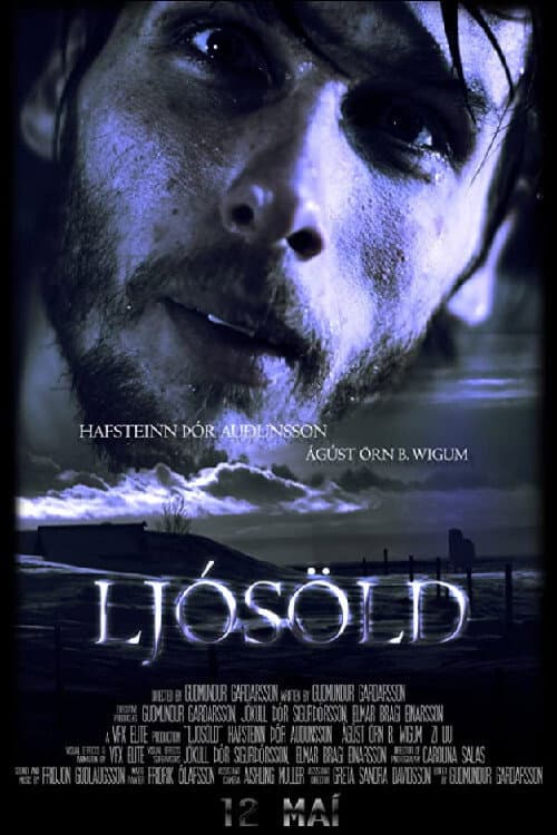 Постер: LjósÖld