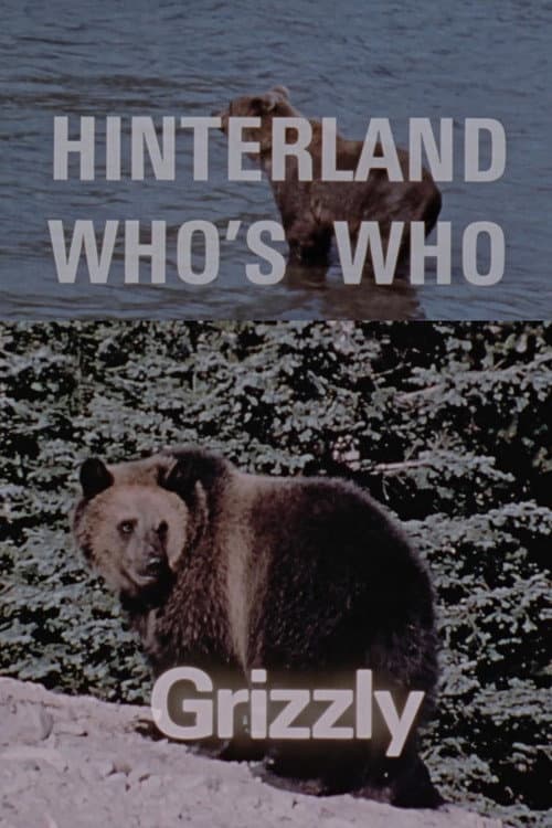 Постер: Hinterland Who's Who: Grizzly