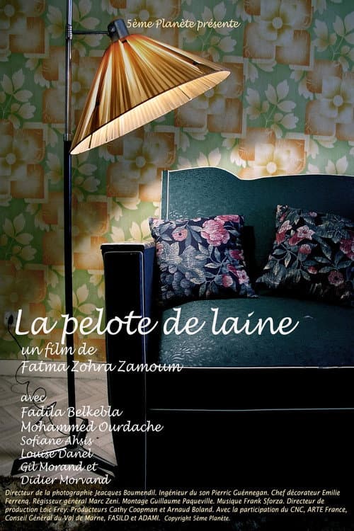 Постер: La Pelote de Laine