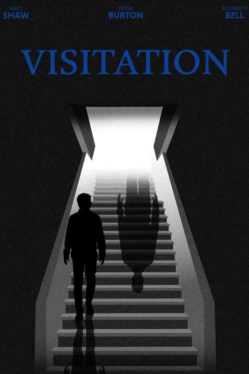 Постер: Visitation