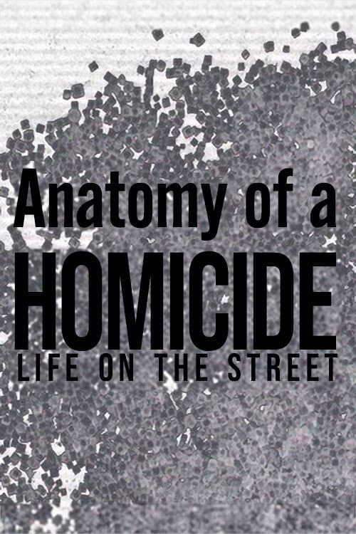 Постер: Anatomy of a 'Homicide: Life on the Street'