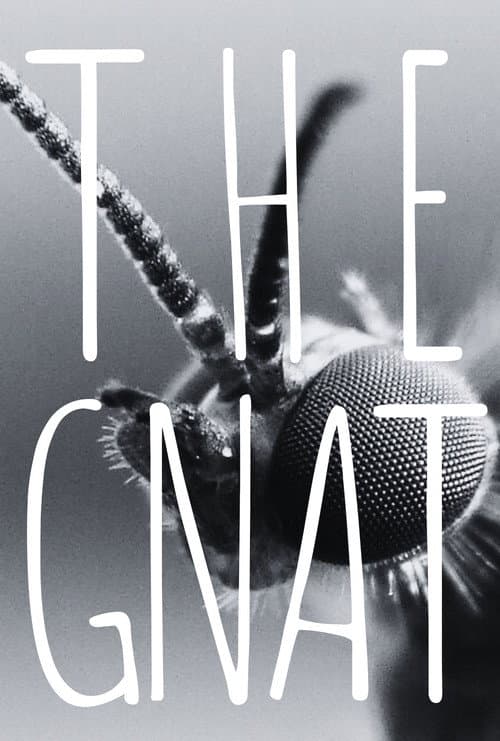 Постер: The Gnat