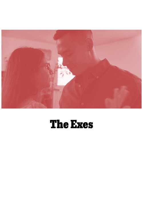Постер: The Exes