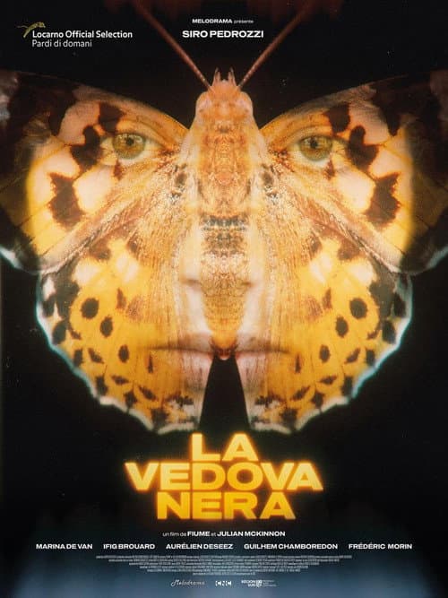 Постер: La vedova nera