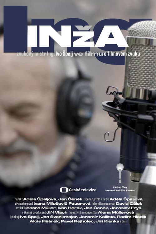 Постер: Inža