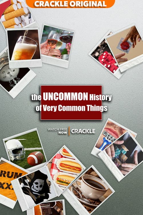 Постер: The Uncommon History of Very Common Things