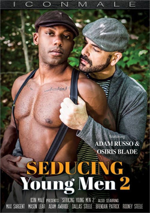 Постер: Seducing Young Men 2