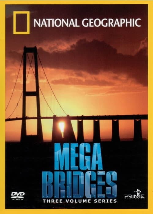 Постер: Mega Bridges