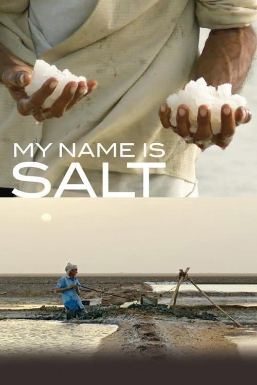 Постер: My Name Is Salt