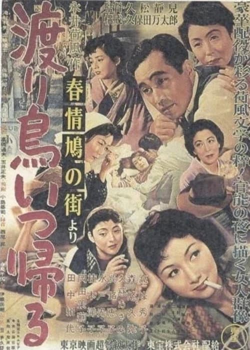 Постер: 「春情鳩の街」より 渡り鳥いつ帰る