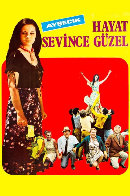 Постер: Hayat Sevince Güzel