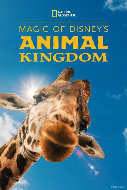 Постер: Magic of Disney's Animal Kingdom
