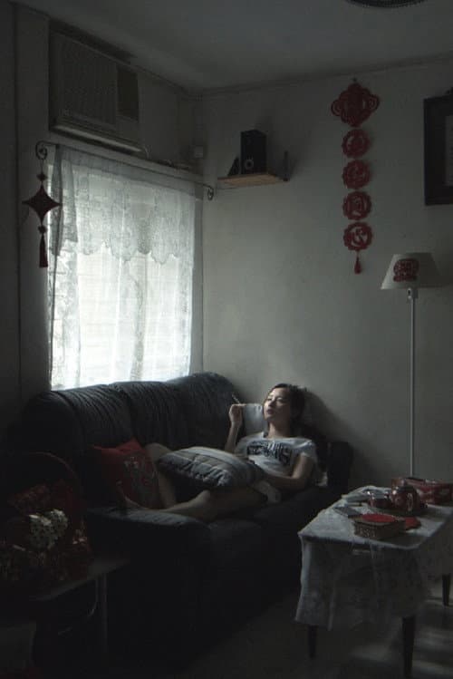 Постер: 仙人掌