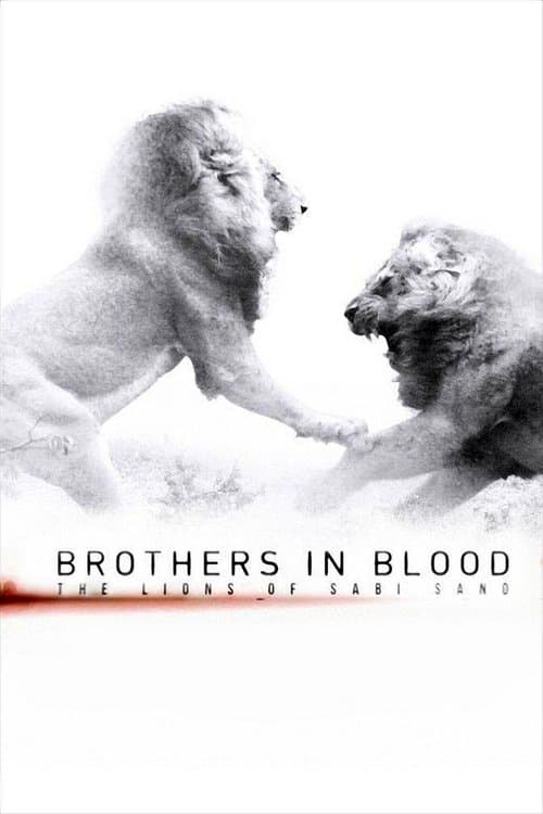 Постер: Brothers in Blood: The Lions of Sabi Sand
