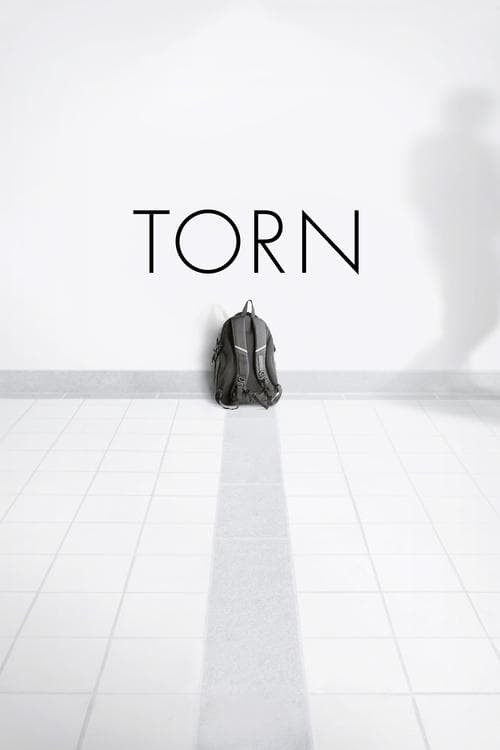 Постер: Torn