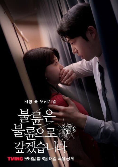 Постер: 불륜은 불륜으로 갚겠습니다