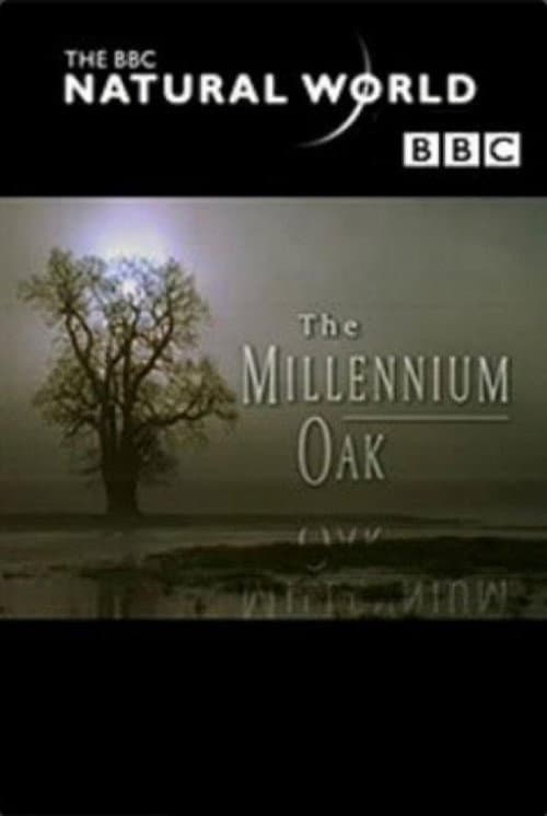Постер: The Millennium Oak