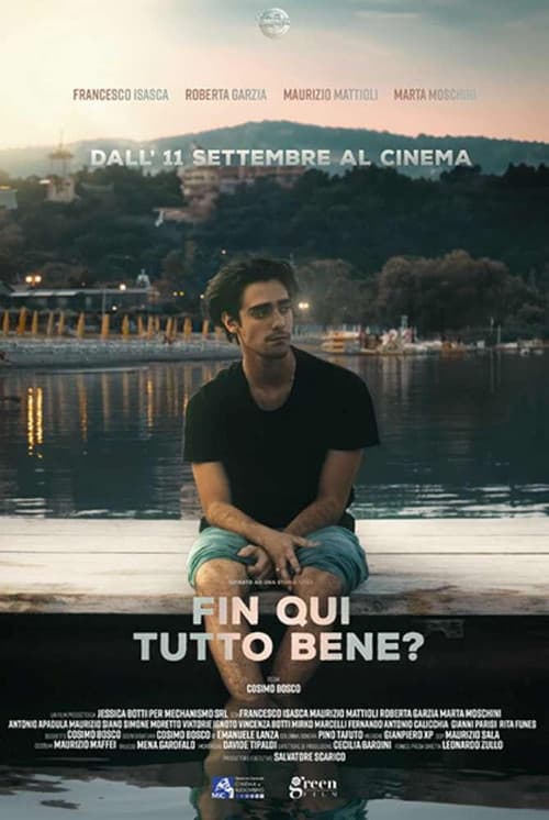 Постер: Fin qui tutto bene?
