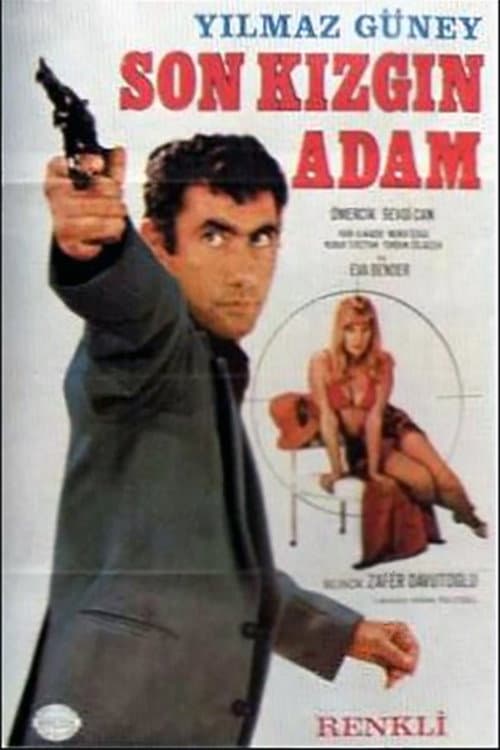 Постер: Son Kızgın Adam