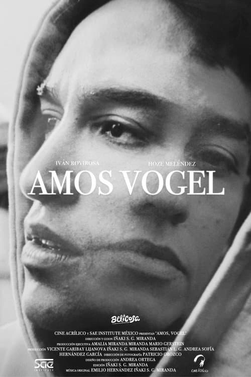 Постер: Amos, Vogel