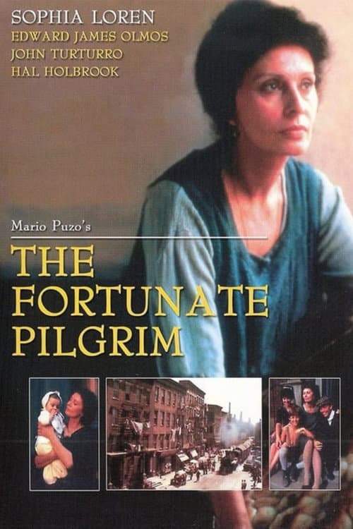 Постер: The Fortunate Pilgrim