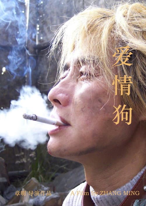 Постер: 爱情狗