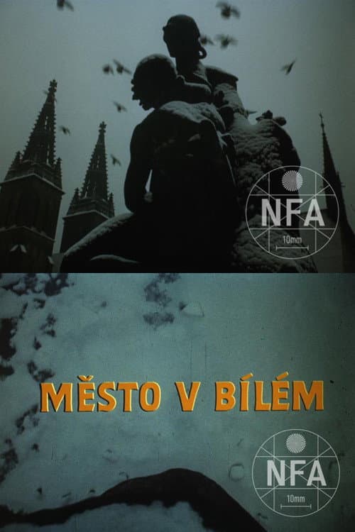 Постер: Město v bílém