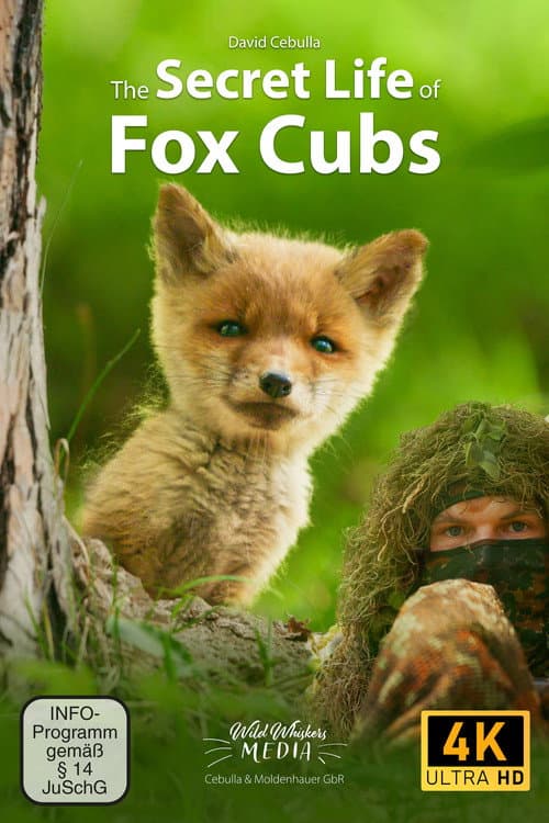 Постер: The Secret Life of Fox Cubs