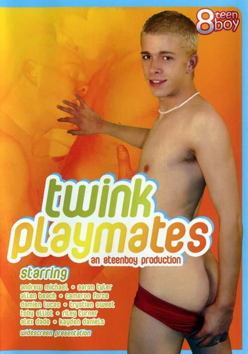 Постер: Twink Playmates