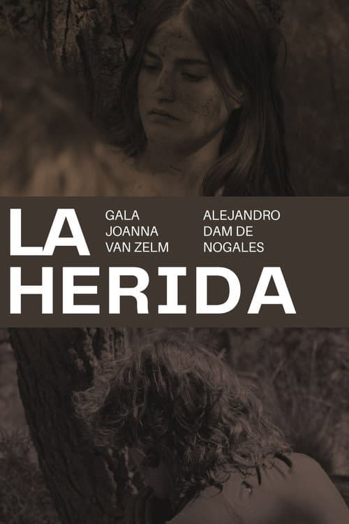 Постер: La herida