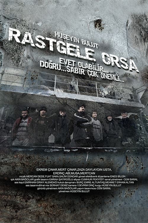 Постер: Rastgele Orsa