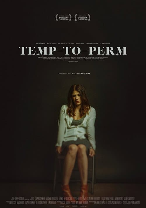 Постер: Temp-To-Perm