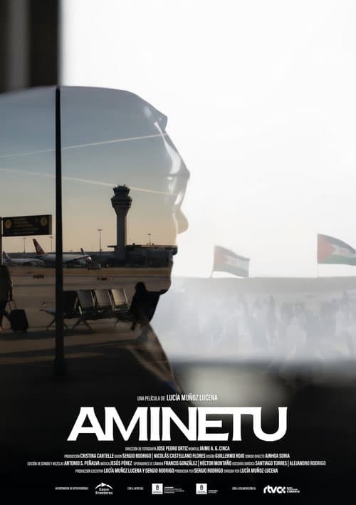 Постер: AMINETU
