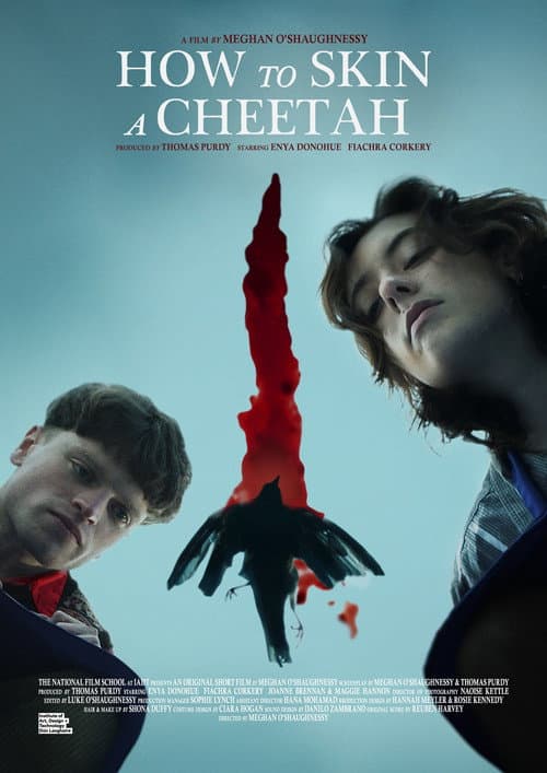 Постер: How to Skin a Cheetah