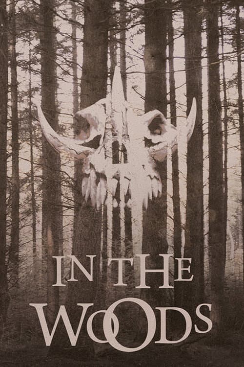 Постер: In the Woods