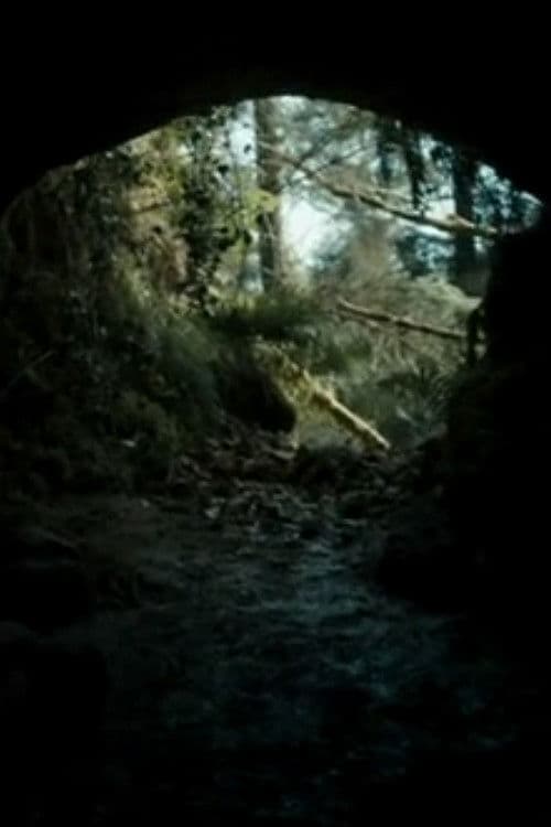 Постер: The Beast