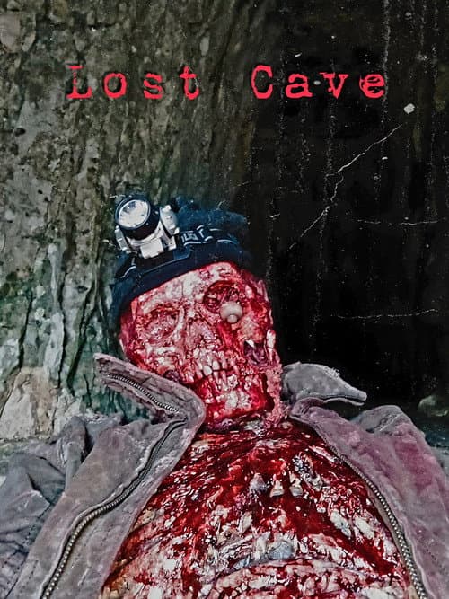 Постер: Lost Cave