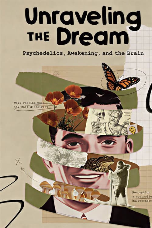 Постер: Unraveling the Dream