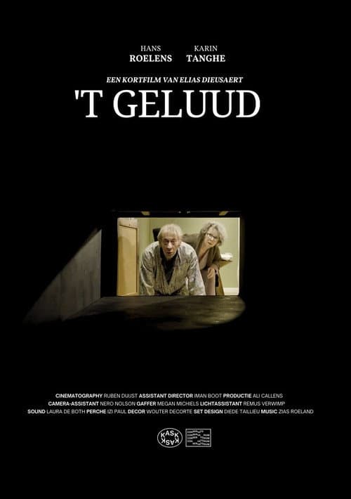 Постер: 't Geluud