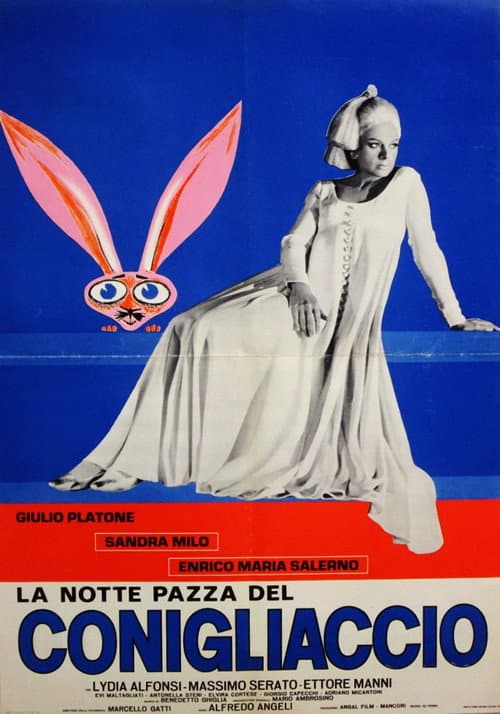 Постер: La notte pazza del conigliaccio