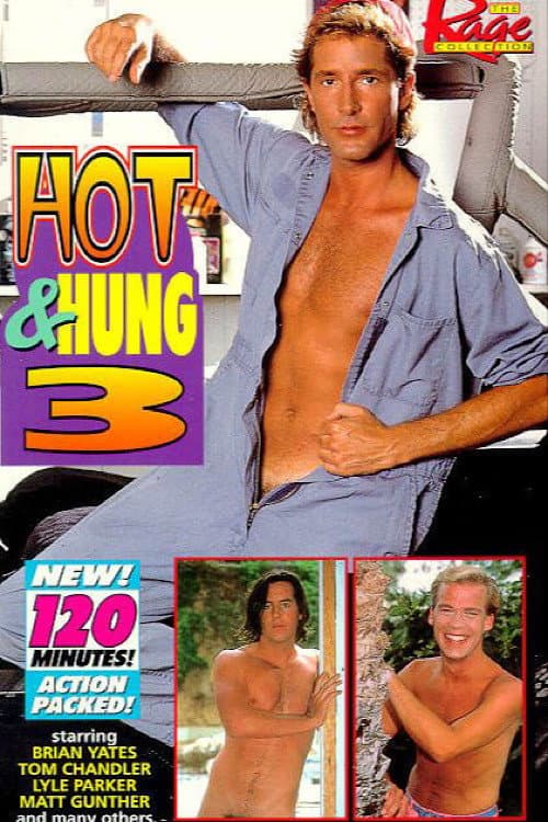 Постер: Hot & Hung 3