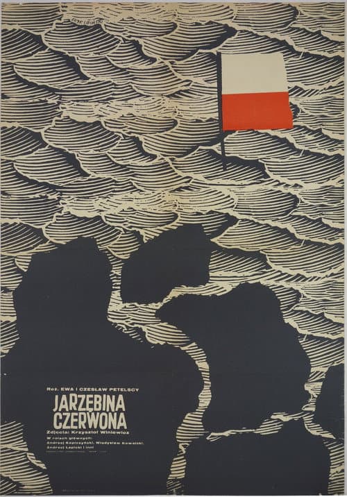 Постер: Jarzębina czerwona
