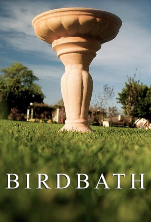Постер: Birdbath
