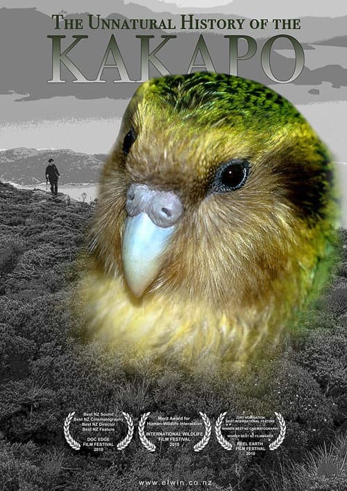 Постер: The Unnatural History of the Kakapo